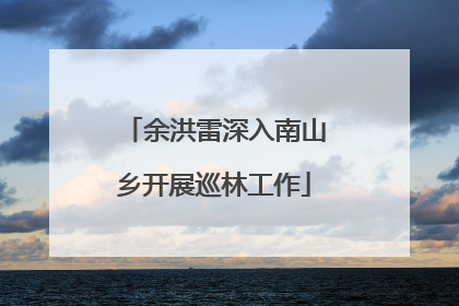 余洪雷深入南山乡开展巡林工作