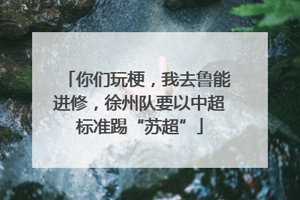 你们玩梗，我去鲁能进修，徐州队要以中超标准踢“苏超”