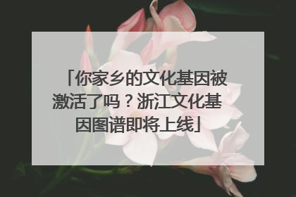 你家乡的文化基因被激活了吗？浙江文化基因图谱即将上线