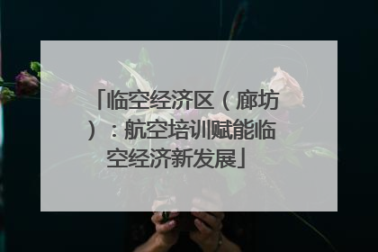 临空经济区（廊坊）：航空培训赋能临空经济新发展