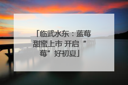 临武水东：蓝莓甜蜜上市 开启“莓”好初夏