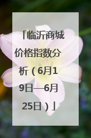 临沂商城价格指数分析（6月19日—6月25日）