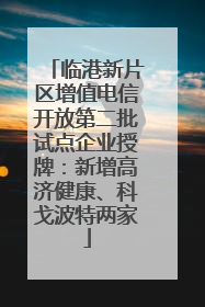 临港新片区增值电信开放第二批试点企业授牌：新增高济健康、科戈波特两家
