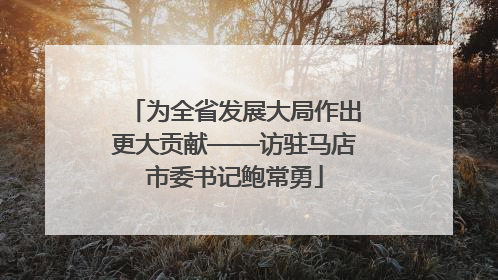 为全省发展大局作出更大贡献——访驻马店市委书记鲍常勇