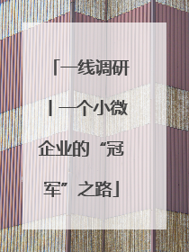 一线调研丨一个小微企业的“冠军”之路