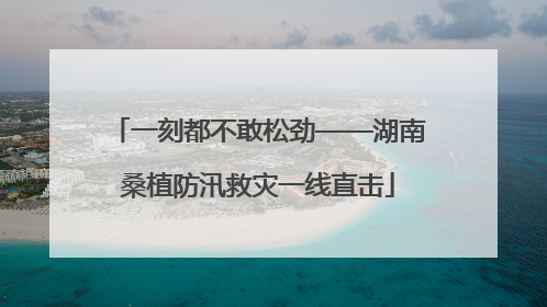 一刻都不敢松劲——湖南桑植防汛救灾一线直击