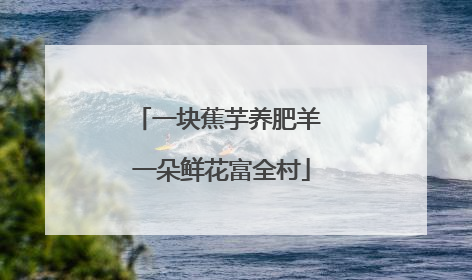 一块蕉芋养肥羊 一朵鲜花富全村