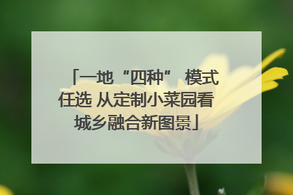 一地“四种” 模式任选 从定制小菜园看城乡融合新图景