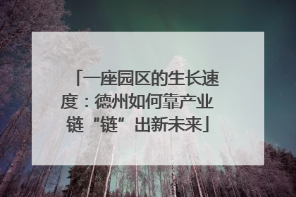 一座园区的生长速度：德州如何靠产业链“链”出新未来