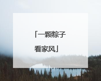 一颗粽子看家风