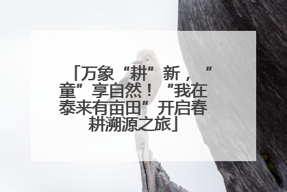 万象“耕”新，“童”享自然！“我在泰来有亩田”开启春耕溯源之旅