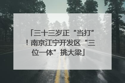 三十三岁正“当打”！南京江宁开发区“三位一体”挑大梁