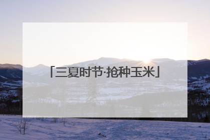 三夏时节·抢种玉米