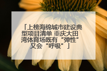 上榜海绵城市建设典型项目清单 重庆大田湾体育场既有“弹性”又会“呼吸”