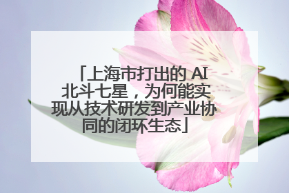 上海市打出的 AI 北斗七星，为何能实现从技术研发到产业协同的闭环生态