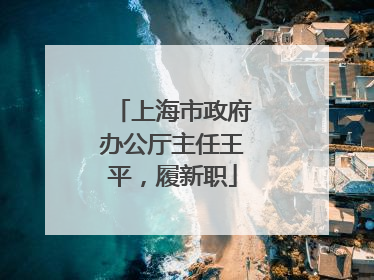 上海市政府办公厅主任王平，履新职