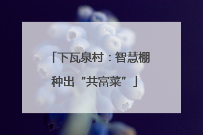 下瓦泉村：智慧棚种出“共富菜”