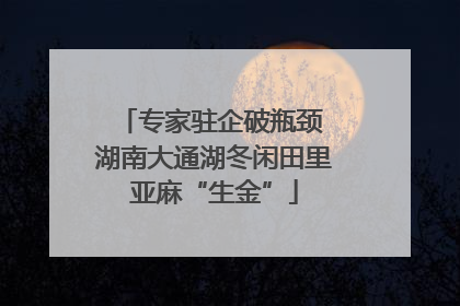 专家驻企破瓶颈 湖南大通湖冬闲田里亚麻“生金”