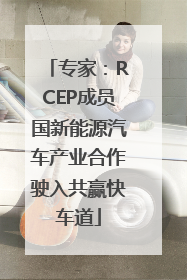 专家：RCEP成员国新能源汽车产业合作驶入共赢快车道