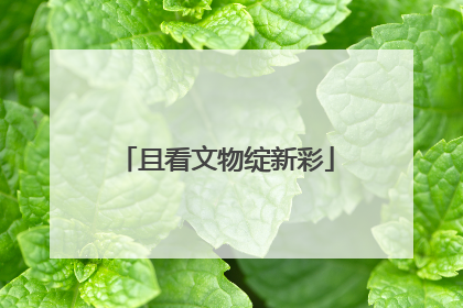 且看文物绽新彩