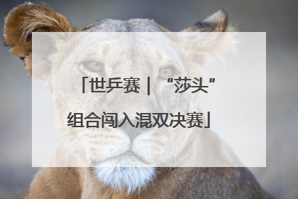 世乒赛｜“莎头”组合闯入混双决赛