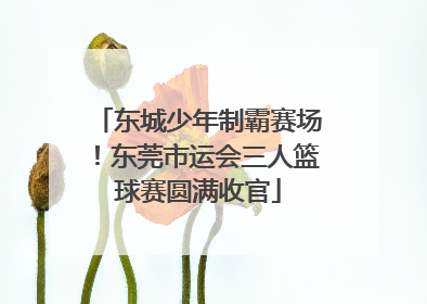 东城少年制霸赛场！东莞市运会三人篮球赛圆满收官