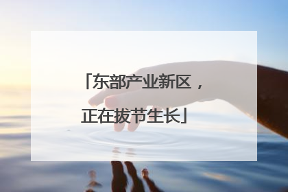 东部产业新区，正在拔节生长