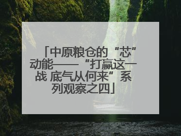 中原粮仓的“芯”动能——“打赢这一战 底气从何来”系列观察之四