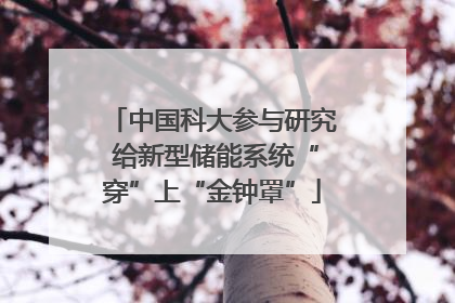 中国科大参与研究 给新型储能系统“穿”上“金钟罩”