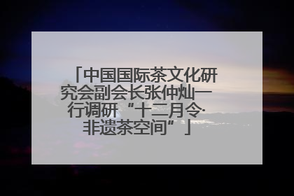 中国国际茶文化研究会副会长张仲灿一行调研“十二月令·非遗茶空间”