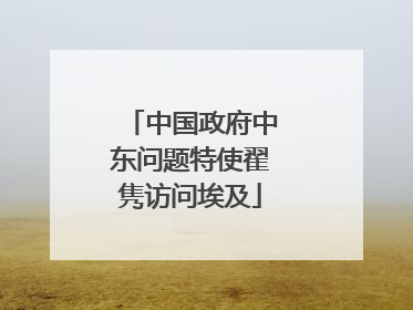 中国政府中东问题特使翟隽访问埃及