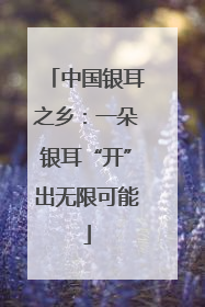 中国银耳之乡：一朵银耳“开”出无限可能