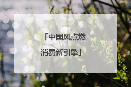 中国风点燃消费新引擎