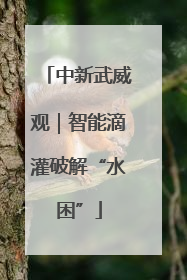 中新武威观｜智能滴灌破解“水困”