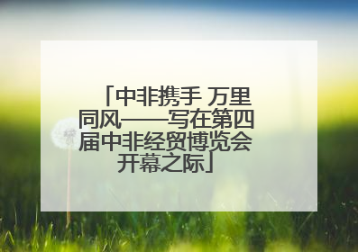 中非携手 万里同风——写在第四届中非经贸博览会开幕之际