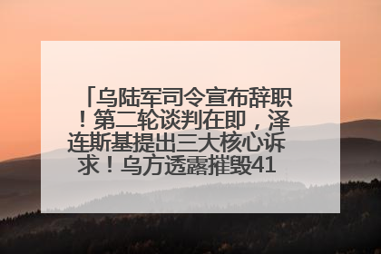 乌陆军司令宣布辞职！第二轮谈判在即，泽连斯基提出三大核心诉求！乌方透露摧毁41架俄战略轰炸机