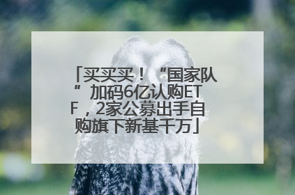 买买买！“国家队”加码6亿认购ETF，2家公募出手自购旗下新基千万
