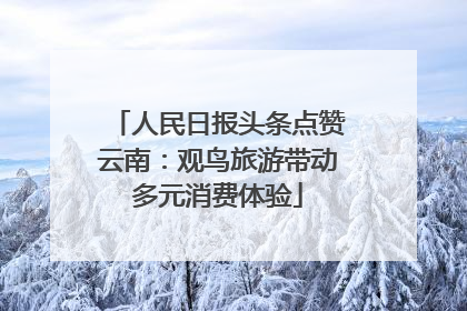 人民日报头条点赞云南：观鸟旅游带动多元消费体验