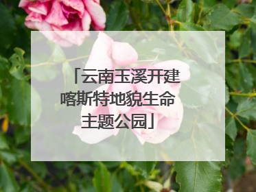 云南玉溪开建喀斯特地貌生命主题公园