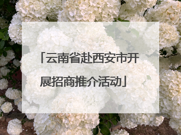 云南省赴西安市开展招商推介活动
