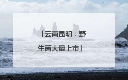 云南昆明：野生菌大量上市