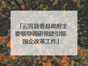 云霄县委县政府主要领导调研党建引领国企改革工作