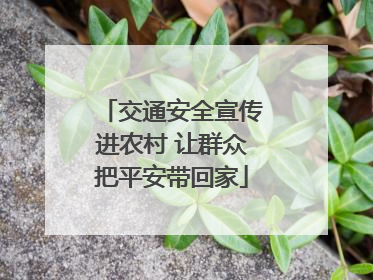 交通安全宣传进农村 让群众把平安带回家