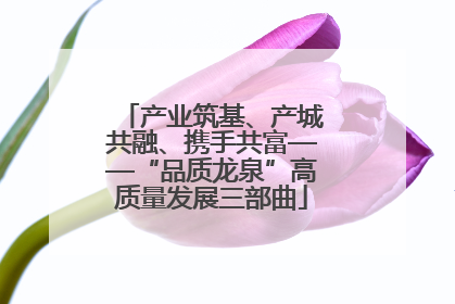 产业筑基、产城共融、携手共富——“品质龙泉”高质量发展三部曲