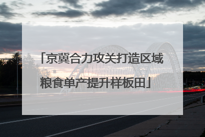 京冀合力攻关打造区域粮食单产提升样板田