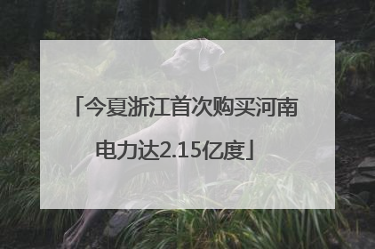 今夏浙江首次购买河南电力达2.15亿度