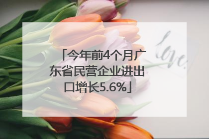 今年前4个月广东省民营企业进出口增长5.6%