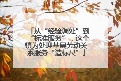 从“经验调处”到“标准服务”，这个镇为处理基层劳动关系服务“造标尺”