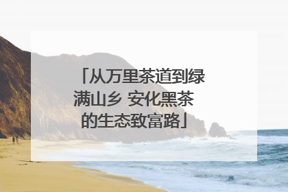 从万里茶道到绿满山乡 安化黑茶的生态致富路