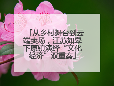 从乡村舞台到云端卖场，江苏如皋下原镇演绎“文化经济”双重奏